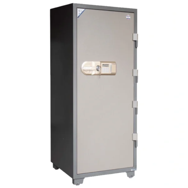 Vietnamese Safe - LG170E4