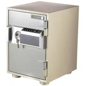 ESD101T