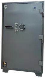 FD120 - خزينة مصري