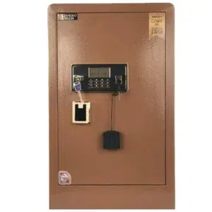 LS80 2